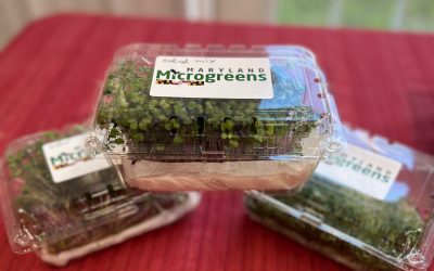 Maryland Microgreens