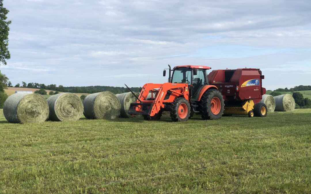 September 2025 Stillpoint Farm Notes